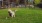 Pet Park